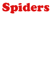 Spiders